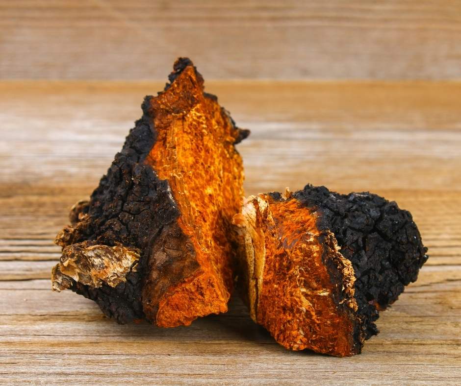 Chaga granulaat (biologisch)