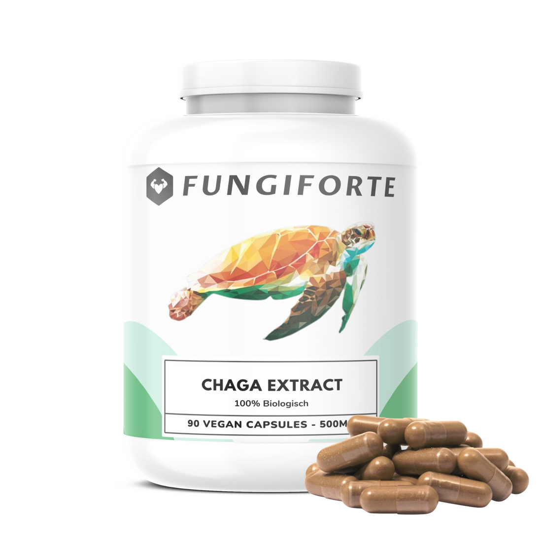 Chaga & Reishi Extract Bundel