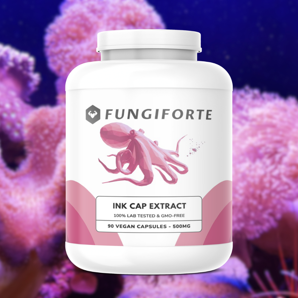 Inktzwam Extract 500mg (biologisch) - 90 stuks
