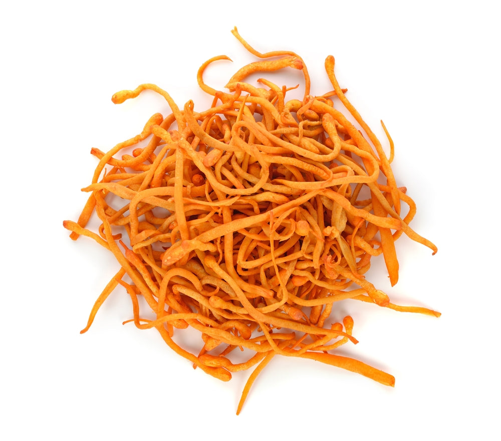 Cordyceps (biologisch) - Gedroogd - Grade A