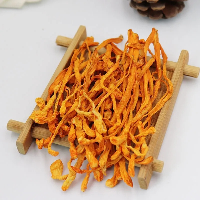 Cordyceps (biologisch) - Gedroogd - Grade A