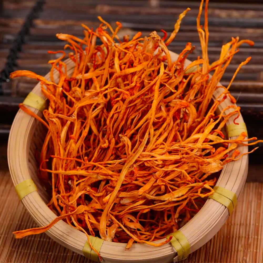 Cordyceps (biologisch) - Gedroogd - Grade A