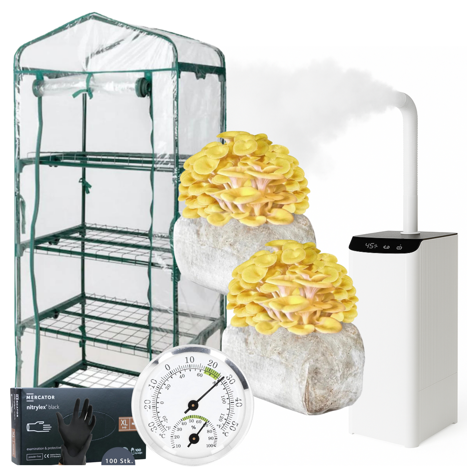 Gele Oesterzwam Beginner Bundel