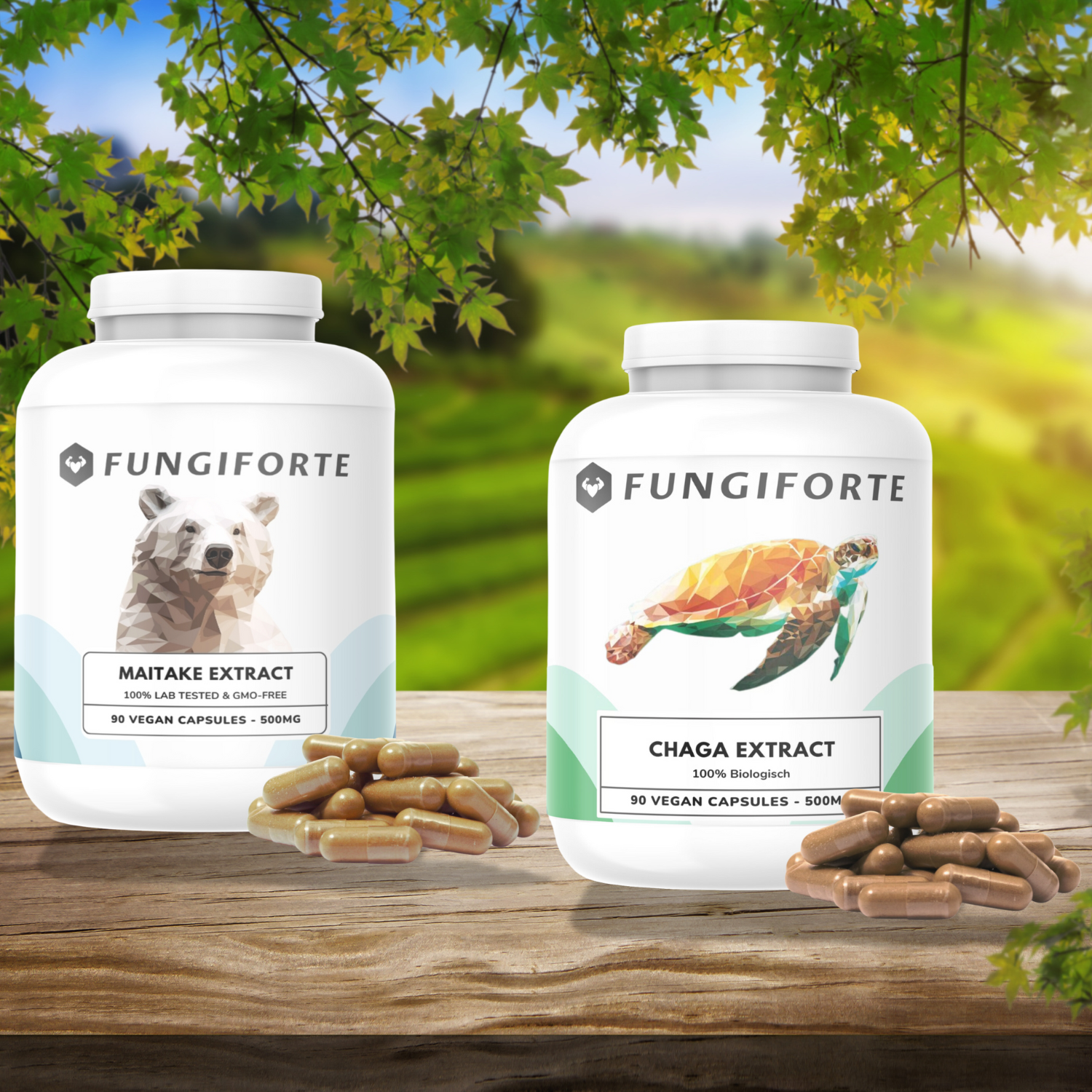 Maitake & Chaga Extract Bundel