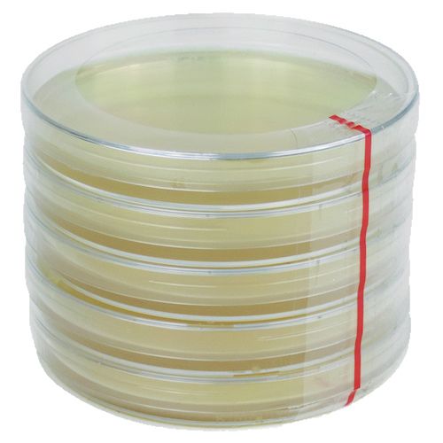 Boîtes de Petri avec Kimmig Agar (5 pièces)