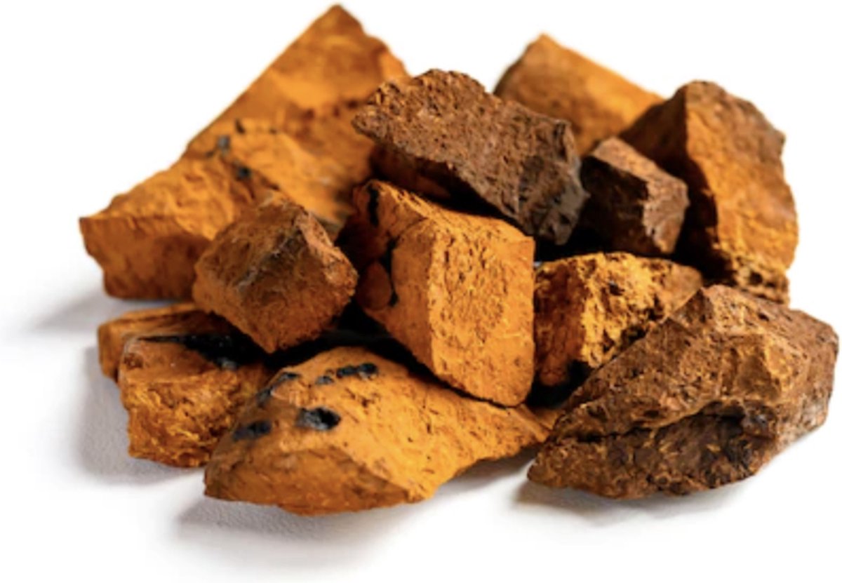 Chaga Poeder (biologisch)