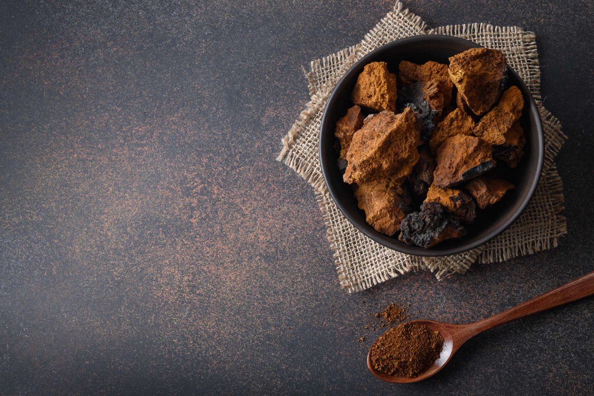 Chaga Poeder (biologisch)
