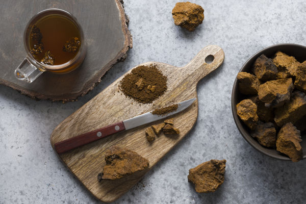 Houtpluggen voor Chaga