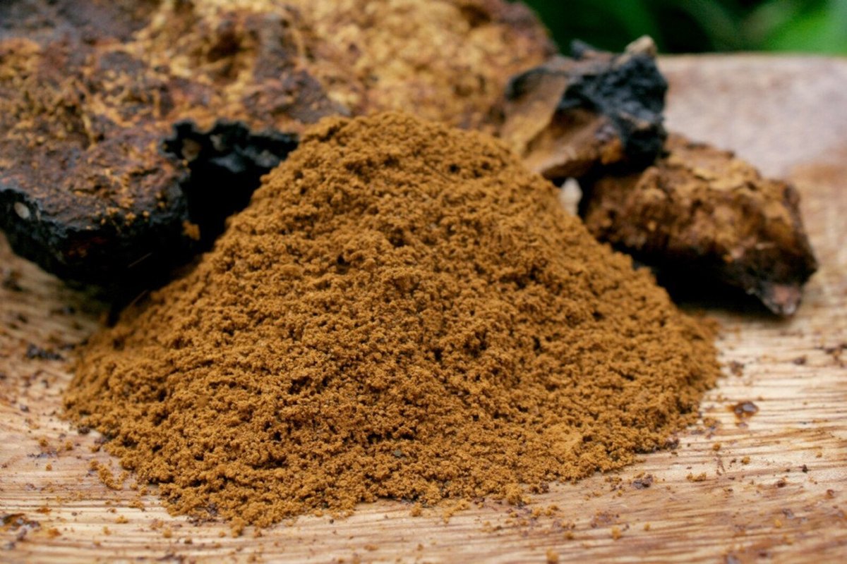 Chaga Poeder (biologisch)