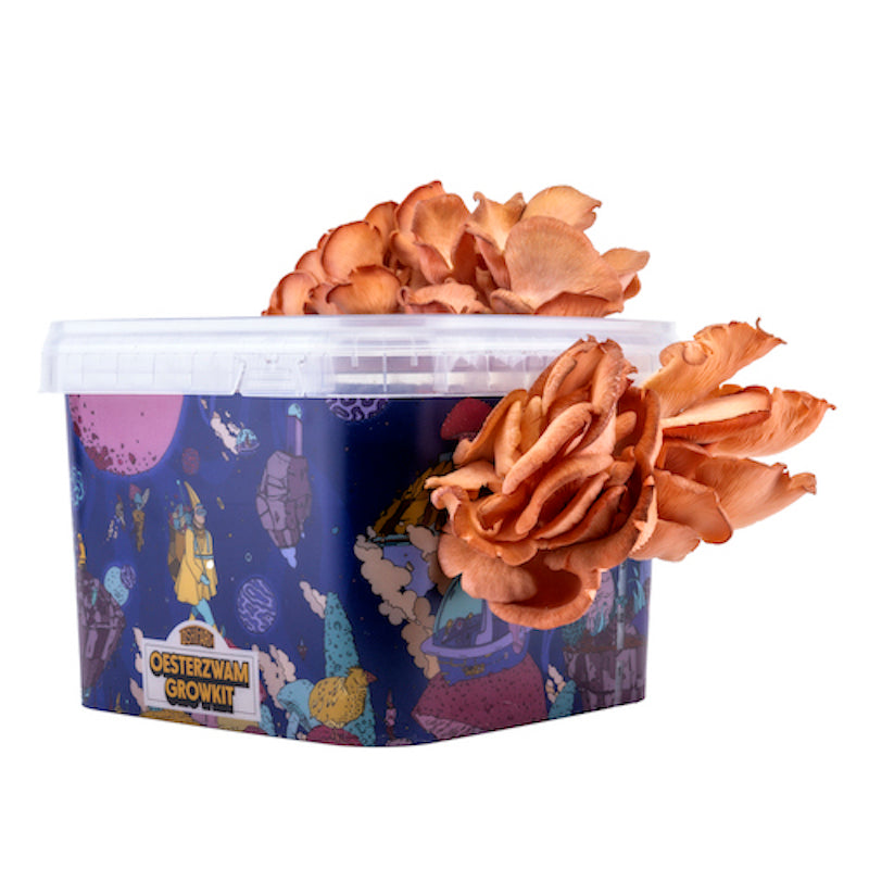 ToshiFarm Oesterzwam Growkit
