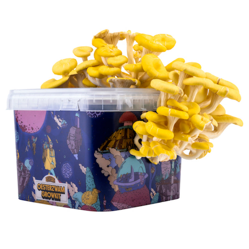 ToshiFarm Oesterzwam Growkit