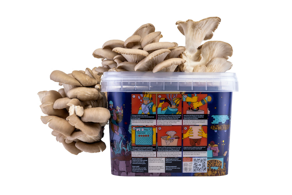 ToshiFarm Oesterzwam Growkit