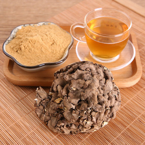 Maitake Poeder (biologisch)