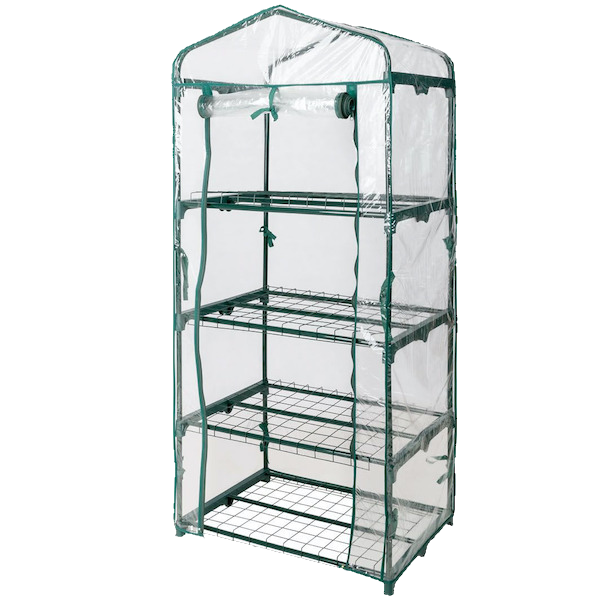 Mushroom Starter Pack