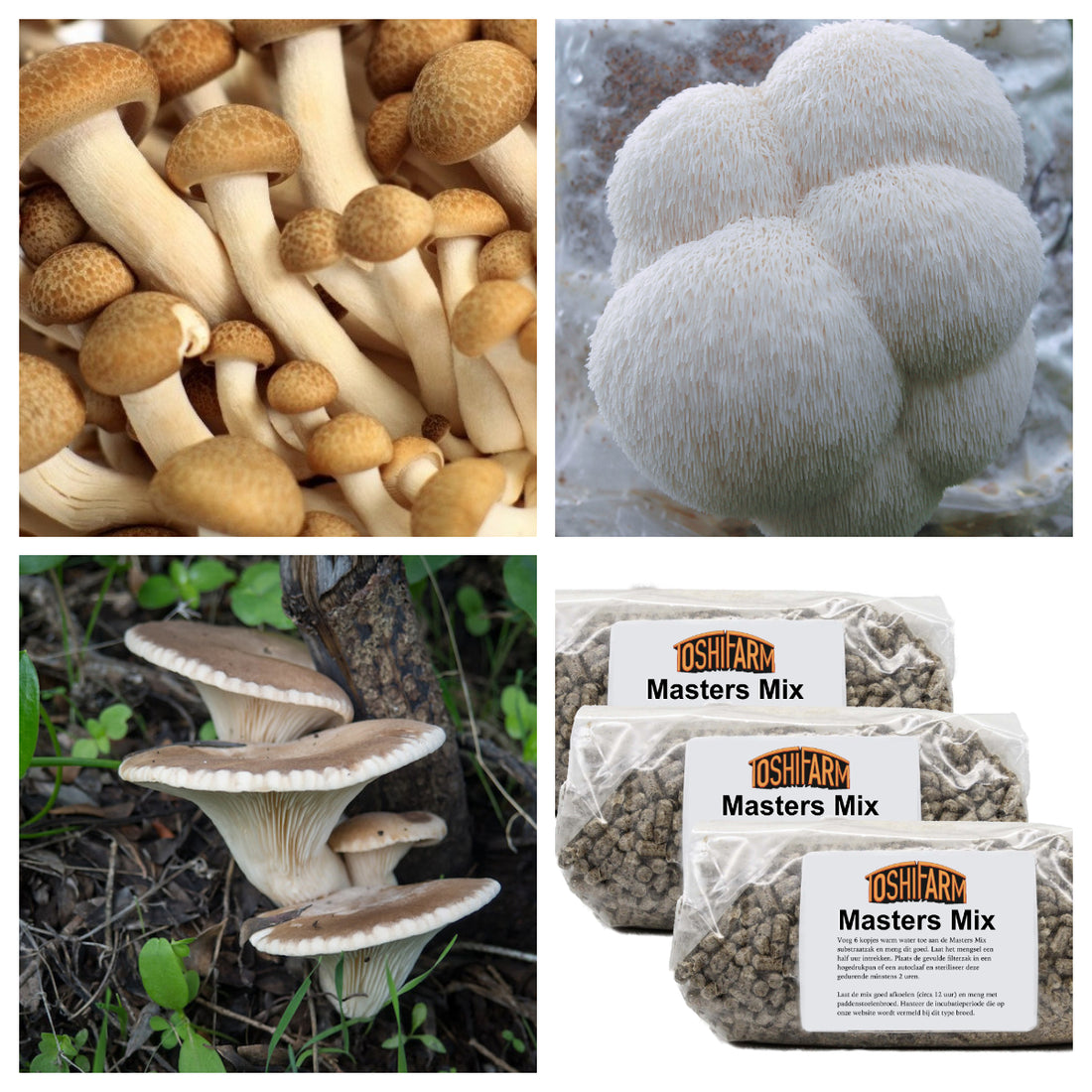 Masters Mix Starter Pack