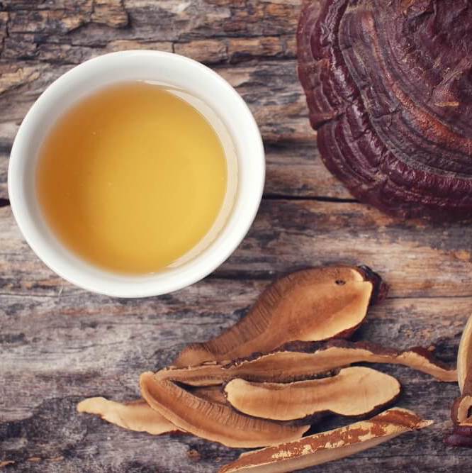 Reishi Poeder (biologisch)