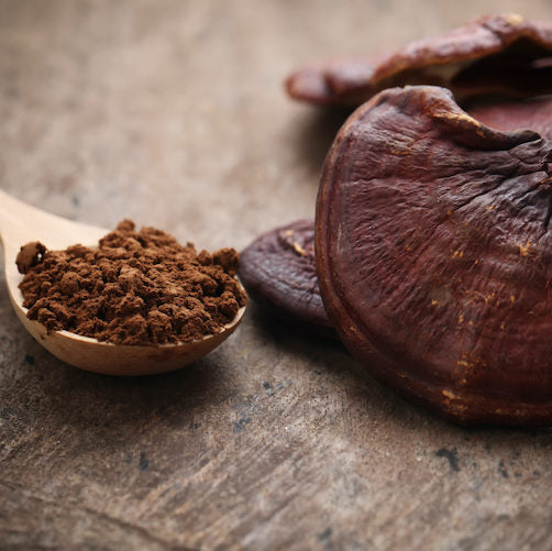 Reishi Poeder (biologisch)