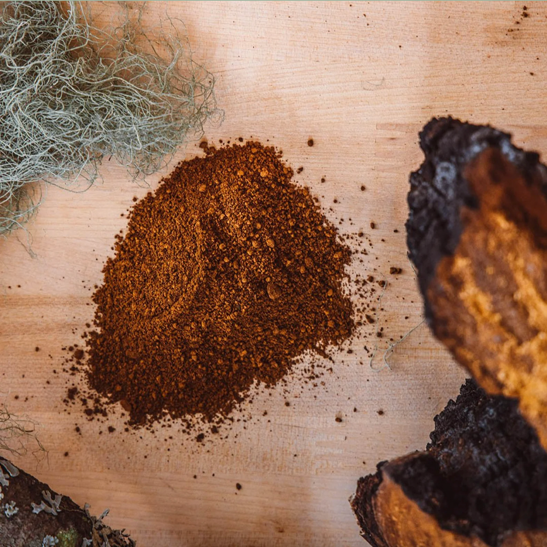 Chaga Poeder (biologisch)