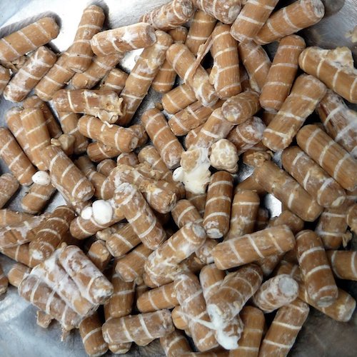 Houtpluggen voor Shiitake