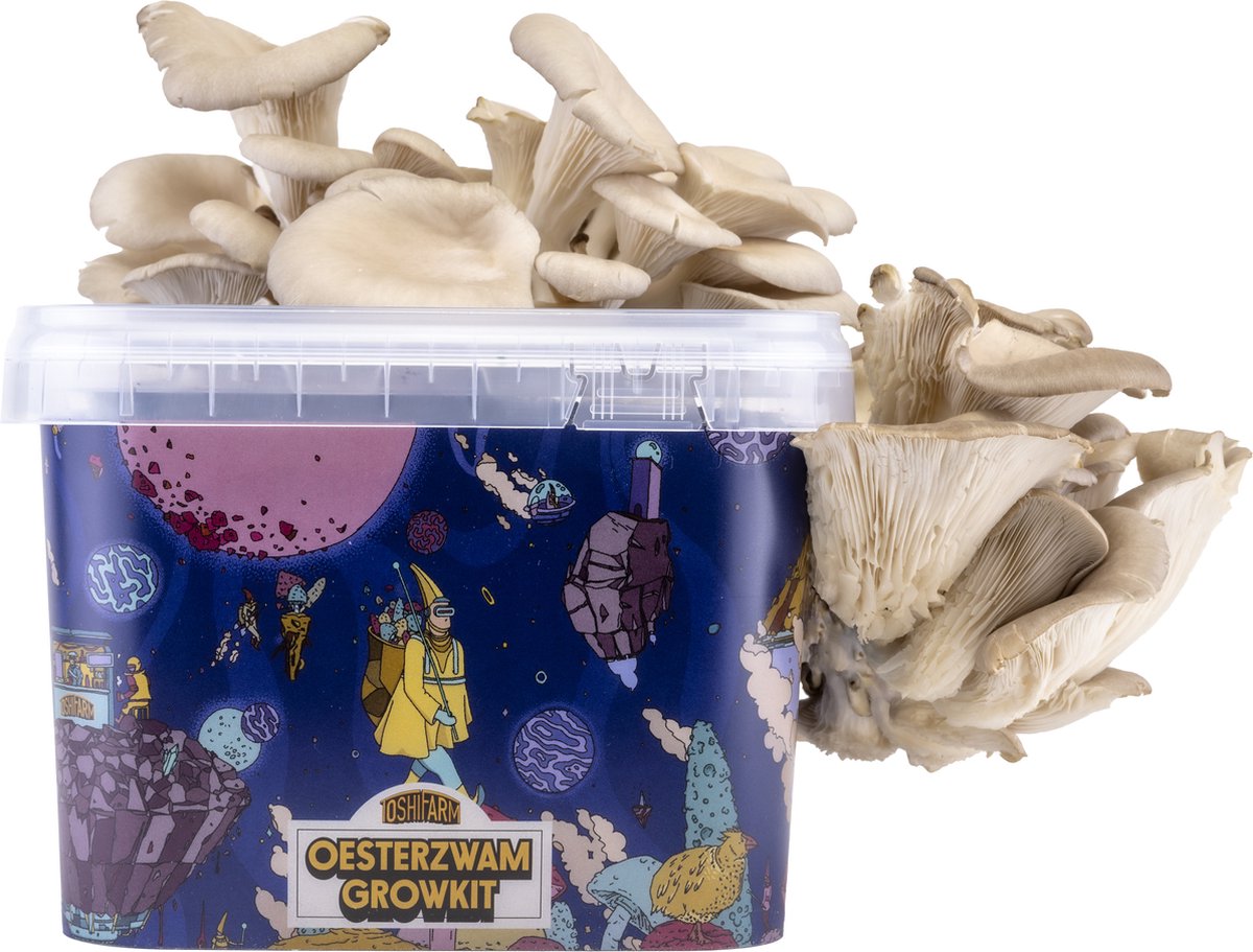 Triple Kweekbundel voor Grijze Oesterzwammen