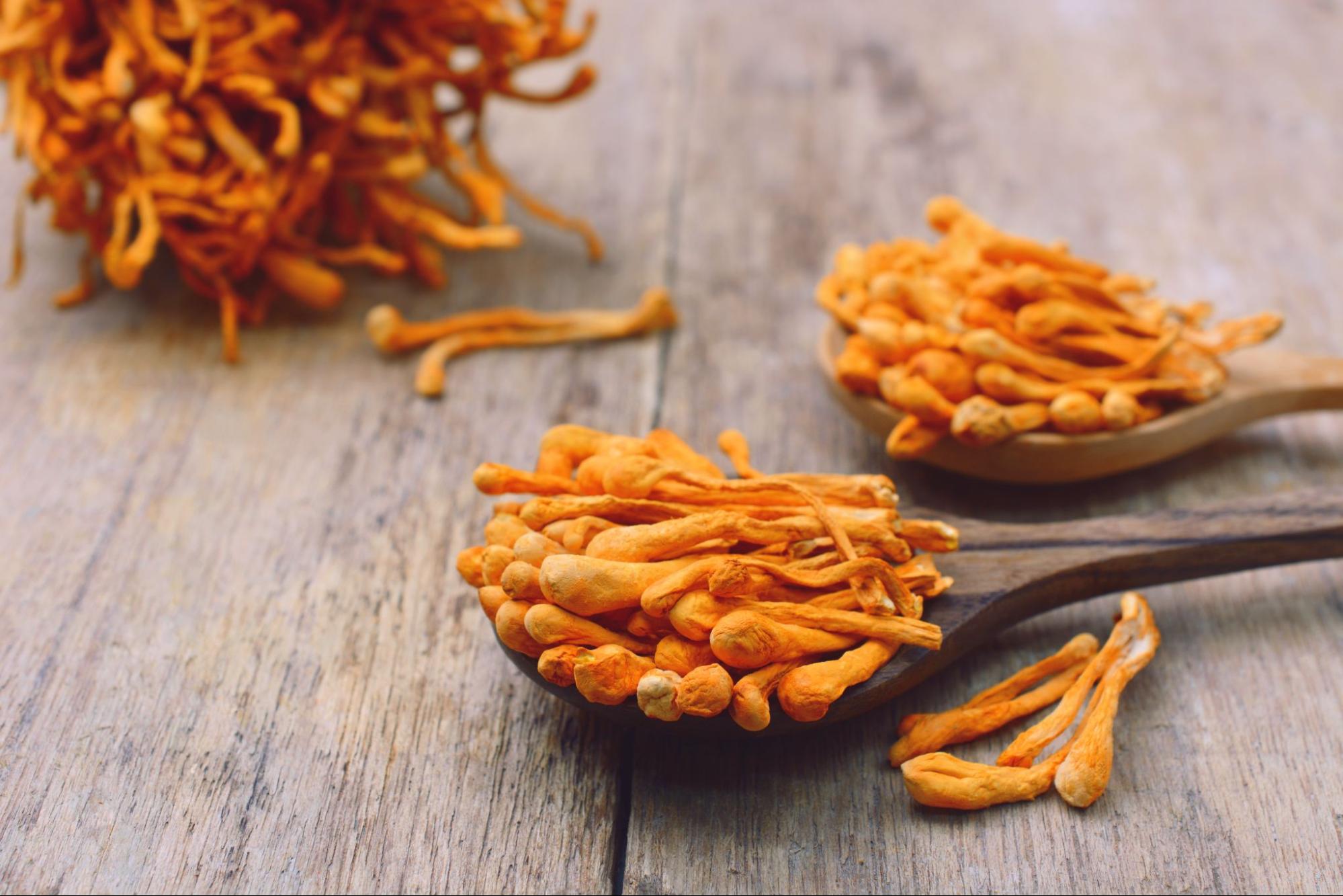Cordyceps Poeder (biologisch)