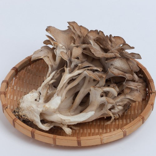 Maitake (Bio) - Séchée - Qualité A