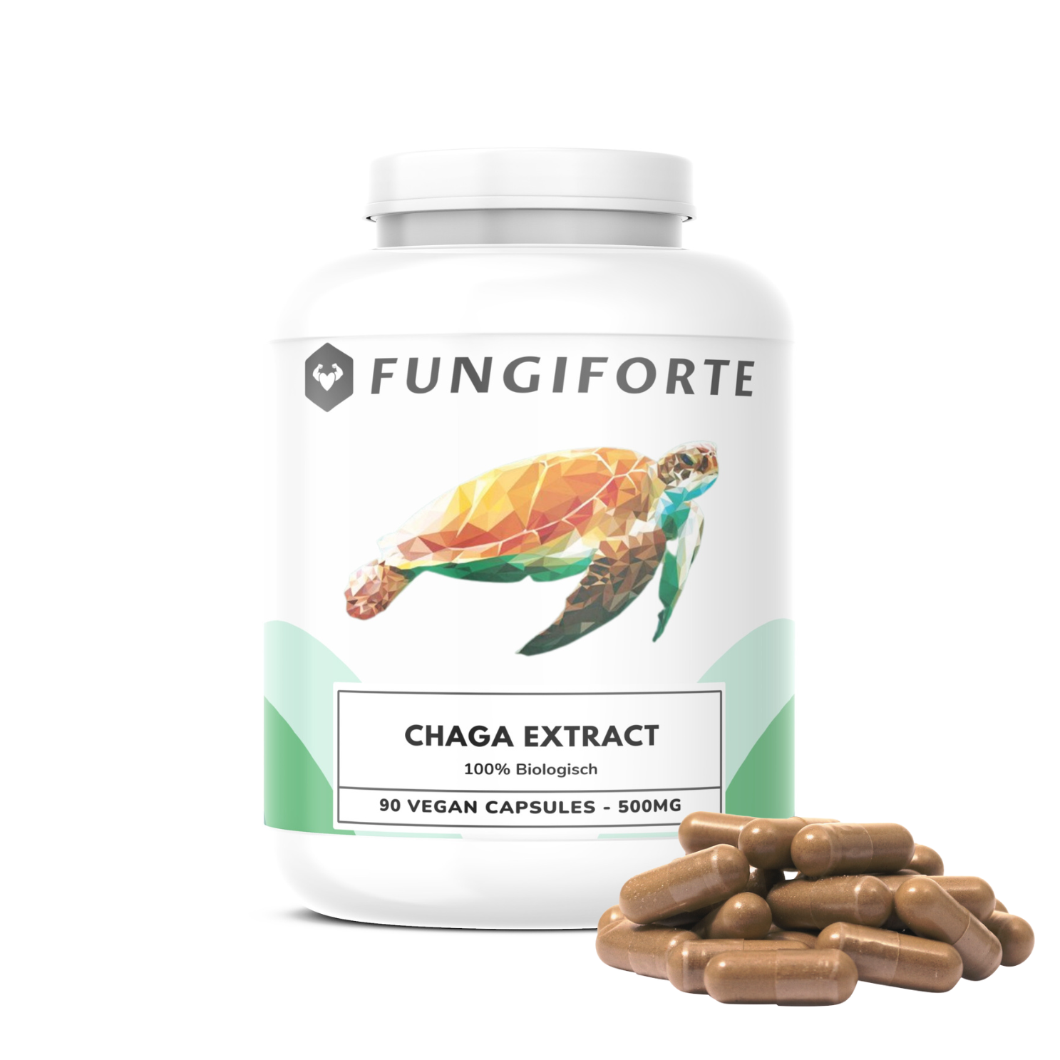 Chaga Extrait 500mg (bio) - 90 pièces