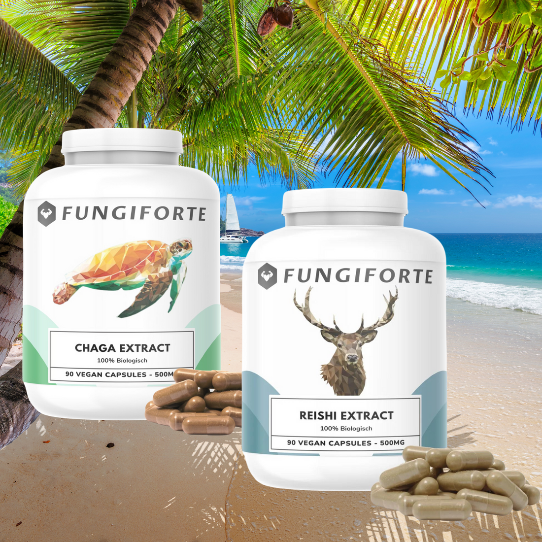 Chaga & Reishi Extract Bundel