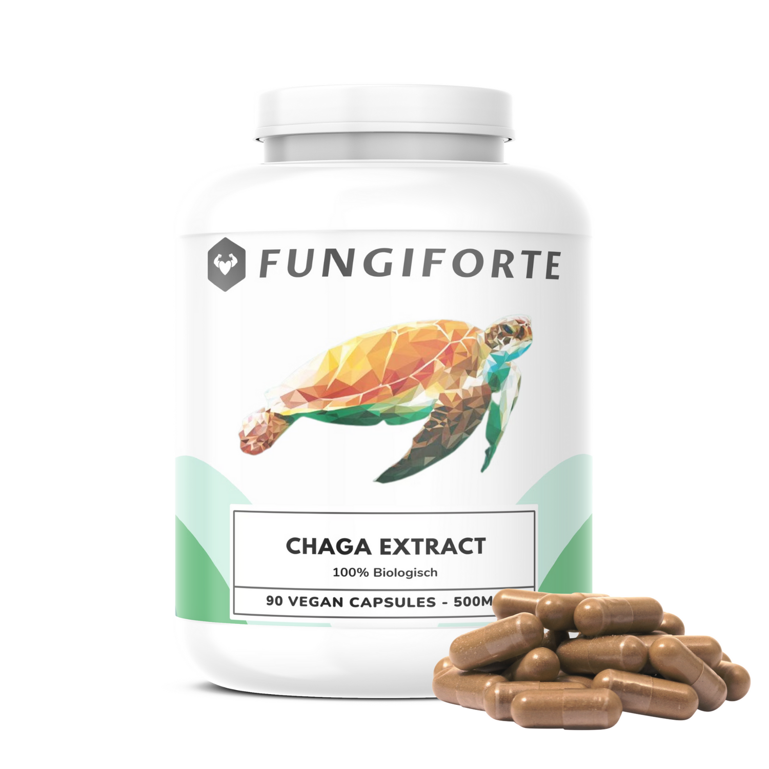 Chaga &amp; Reishi Extract Bundel