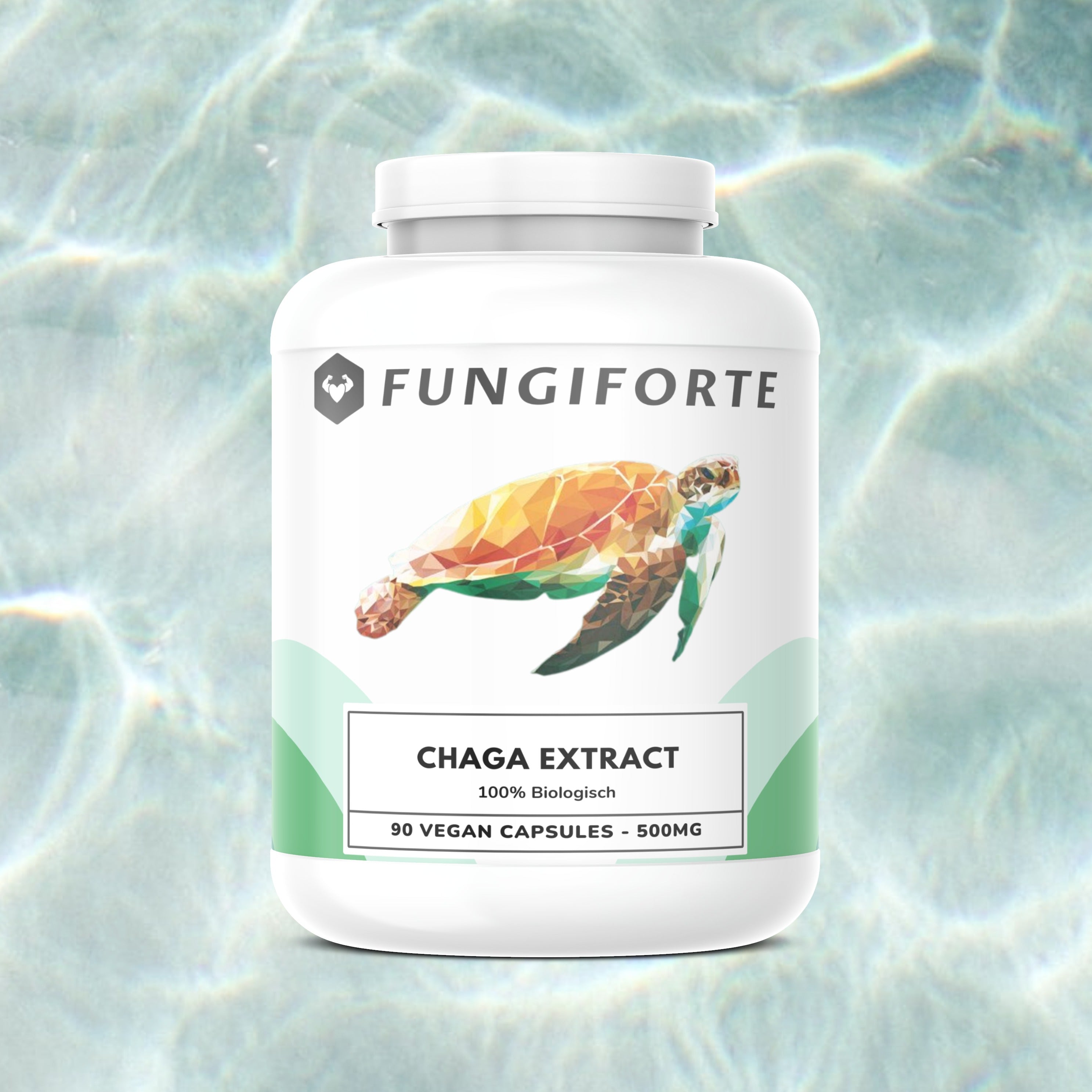 Chaga Extrait 500mg (bio) - 90 pièces