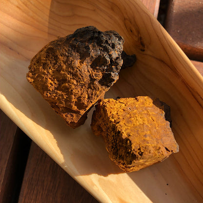 Chaga Extrait 500mg (bio) - 90 pièces