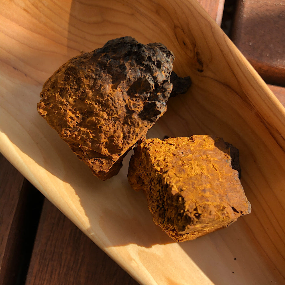 Chaga granulaat (biologisch)