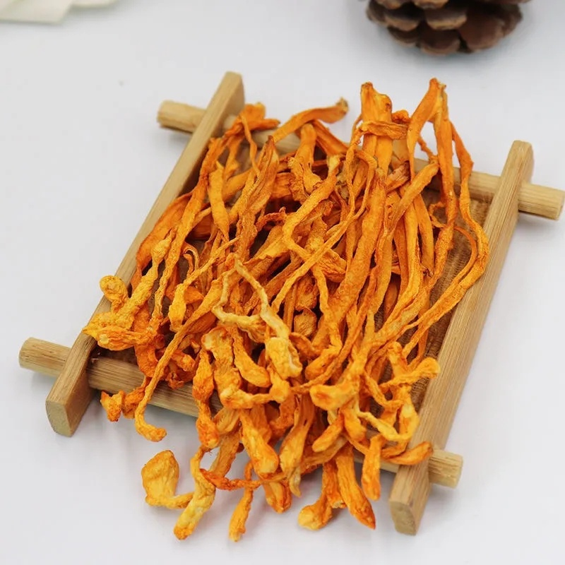 Cordyceps Militaris (biologisch) - Gedroogd - Grade A