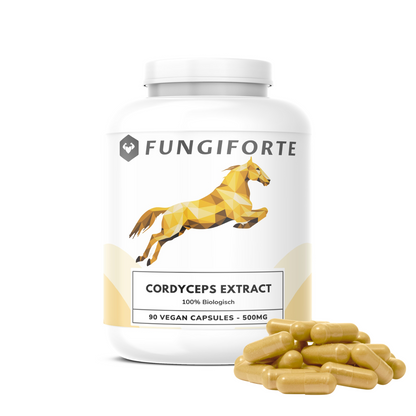 Cordyceps Extract 500mg (biologisch) - 90 stuks