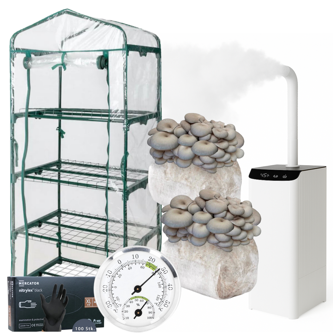 Grijze Oesterzwam Beginner Bundel