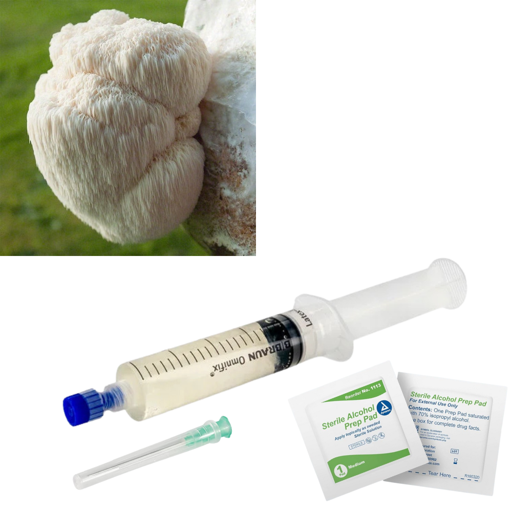 Culture Liquide pour Crinière de Lion