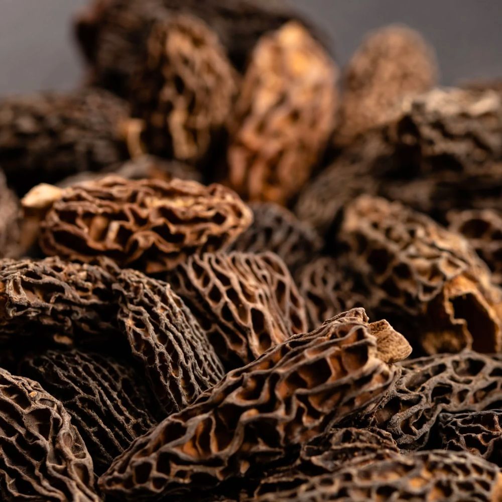 Morilles Spéciales (cueillette sauvage) - Séchées - Qualité A+